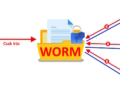 ransomware-vedelem-worm-technologiaval